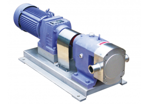 凸輪式轉(zhuǎn)子泵